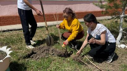 "Түлектердің ағаш егуі"